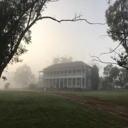 Dempster Cottage Irishtown Экстерьер фото